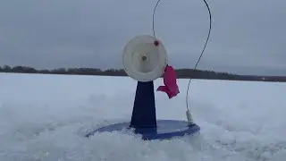 The FISH is also the HOLIDAYS! First fishing in 2021. RUZSKOE reservoir 3.01.2021 