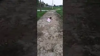 Nghệ sỹ ra đường lượm đá 🤣