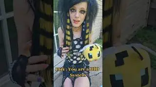 POV: You are a DID System 