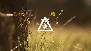 Camila Cabello - Real Friends (Vince Remix)