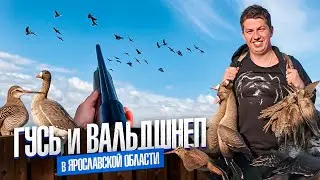 Весенняя охота на ГУСЯ🔥Вальдшнеп💥Красивые налеты🔥Супер Тяга💥 Духовые манки!
