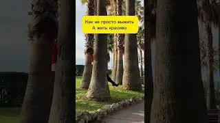 Как жить красиво в новом году