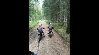 Летний лагерь, часть 8. Покатушки по лесам.