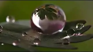Осенний саксофон-блюз Раймонд Паулс