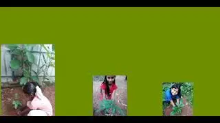 World Environment Day 5 June 2021