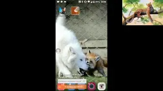 snaiper 3d взлом