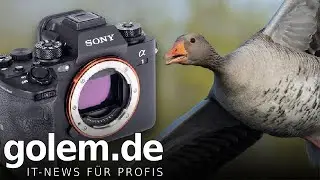 Sony Alpha 1 - Fazit