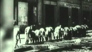 1944 - Освобождение Ленинграда (2015)