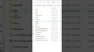 Gradle Build Error Unity 