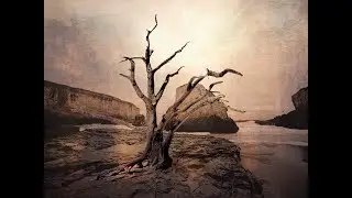 Photoshop CC 2020 Strumento Altera