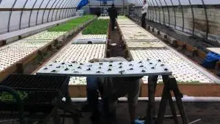 Urban Space Aquaponics Time Lapse Final Cut