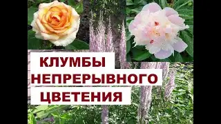 Клумбы непрерывного цветения| Часть 1