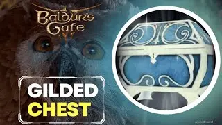 HOW TO OPEN GILDED CHEST IN OWLBEAR CAVE | BALDURS GATE 3