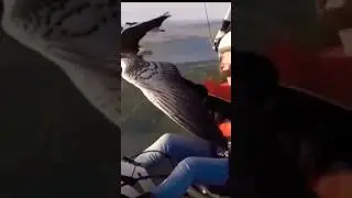 УЧМОК,ДАМАН