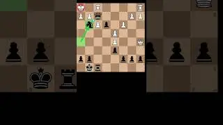 move of the day 