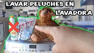LAVADORA DESTRUYE PELUCHES ? | PELUCHES DE COLECCIÓN ALF