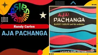🔥AJA PACHANGA por RANDY CARLOS - Salsa Premium