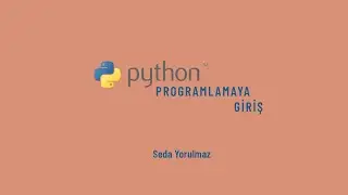 Python Programlamaya Giriş - While Döngüsü