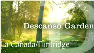 Descanso Gardens in LaCañada/Flintridge|Living in Los Angeles CA 2023