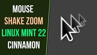 how to enable the mouse shake zoom effect in Linux Mint 22 Cinnamon