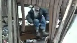 Прикол))) Бомж Чудит