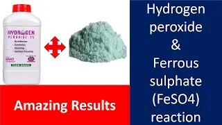 Hydrogen Peroxide Reactions | Amazing Results