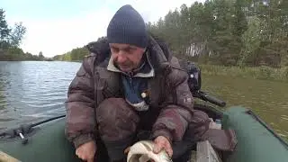 Ловля щуки Беларусь