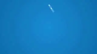 ШОК! СКЕЛЕТ ТРАХНУЛ ОБЕЗЬЯНКУ