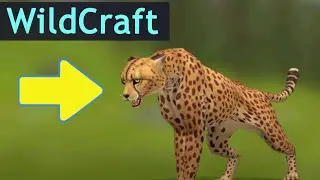 ОБНОВЛЕНИЕ в WildCraft! Смотрим ГЕПАРДА в WildCraft