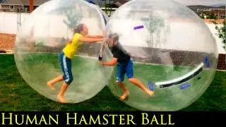 Human Hamster Ball Family Party with April and Davey, Momma O, and The Action Lab