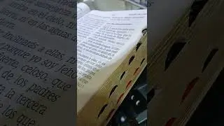 una pastora me ablo de la palabra en mall de miami
