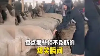 盘点那些猝不及防的搞笑瞬间 #搞笑我是认真的 #不笑运气差一笑脸就大 #意想不到的结局 #搞笑瞬间