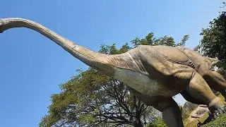 Brachiosaurus