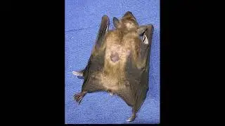 Faces of Rescue, 2023