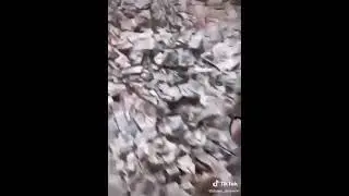 Когда купил дом, а на чердаке под полом обнаружились советские бабосы)))