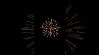 Mr. Pig 25 Shots Peanut Firework
