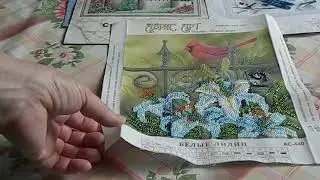 Вышивка крестом и бисером. Июль 2023 года!