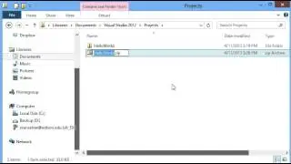 Visual Studio Project File and Folder Management