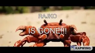 CRABS are my PASSION