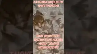 Мой Канал 