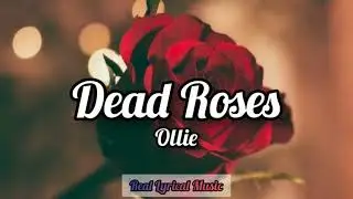 Ollie - Dead Roses (Lyrics)