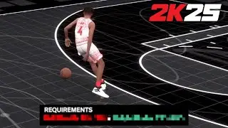 EVERY Animation Requirement in NBA 2K25... (NEW Jumpshots, Dribble Moves, Dunk Packages & More)