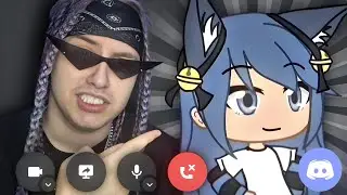 Confronting Bella The Wolf