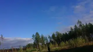 Сравнение calef, RM alpha и swf