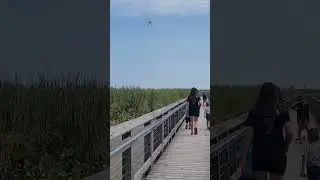 Point Pelee National Park