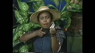Belizean Lady D   Fowl Thief