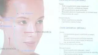 DURAFORM   DR GUSTAVO MADRID