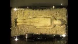 Bodies of Change Installation Time-Lapse