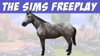 The Sims FreePlay Хобби трюки на лошади / Прохождение Симс Фриплей