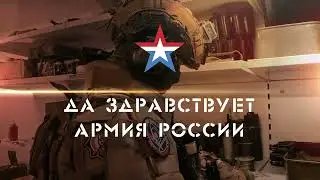 Год Дракона24